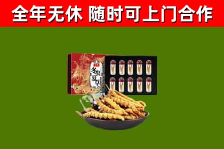 辽宁回收冬虫夏草价格